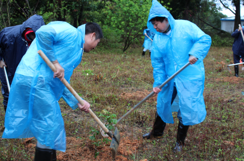 集團(tuán)組織開展“我與小樹同成長”植樹節(jié)活動-