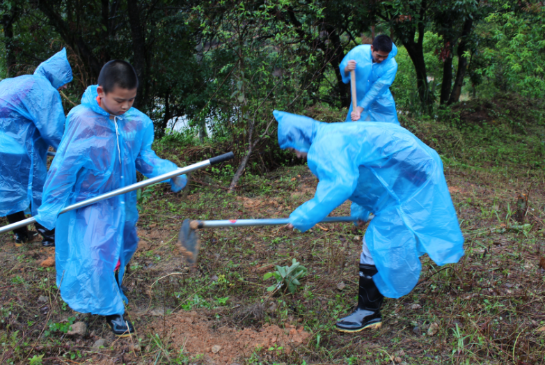 集團(tuán)組織開展“我與小樹同成長”植樹節(jié)活動-