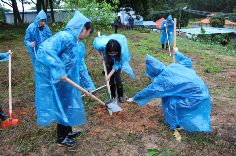 集團(tuán)組織開展“我與小樹同成長”植樹節(jié)活動-